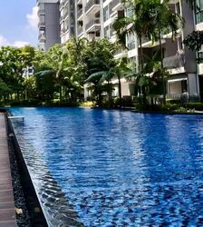 Forest Woods (D19), Condominium #587744661